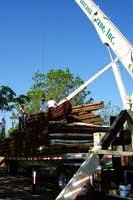 Setting Trusses by Santana Crane
