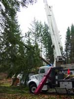 Fallen Tree on House Cleanup After Major Storm in Oregon by Santana Crane
