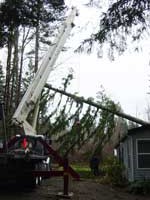 Fallen Tree on House Cleanup After Major Storm in Oregon by Santana Crane