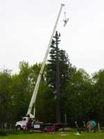 Cell Tower Tree Project - Portland, Oregon by Santana Crane